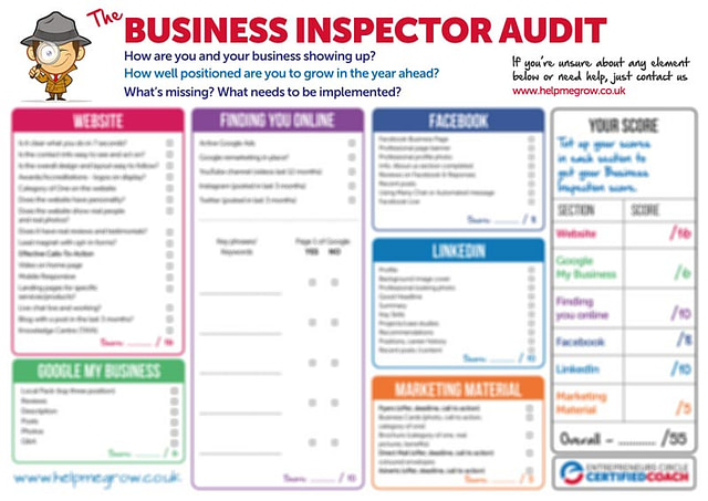 Business Inspector Audit